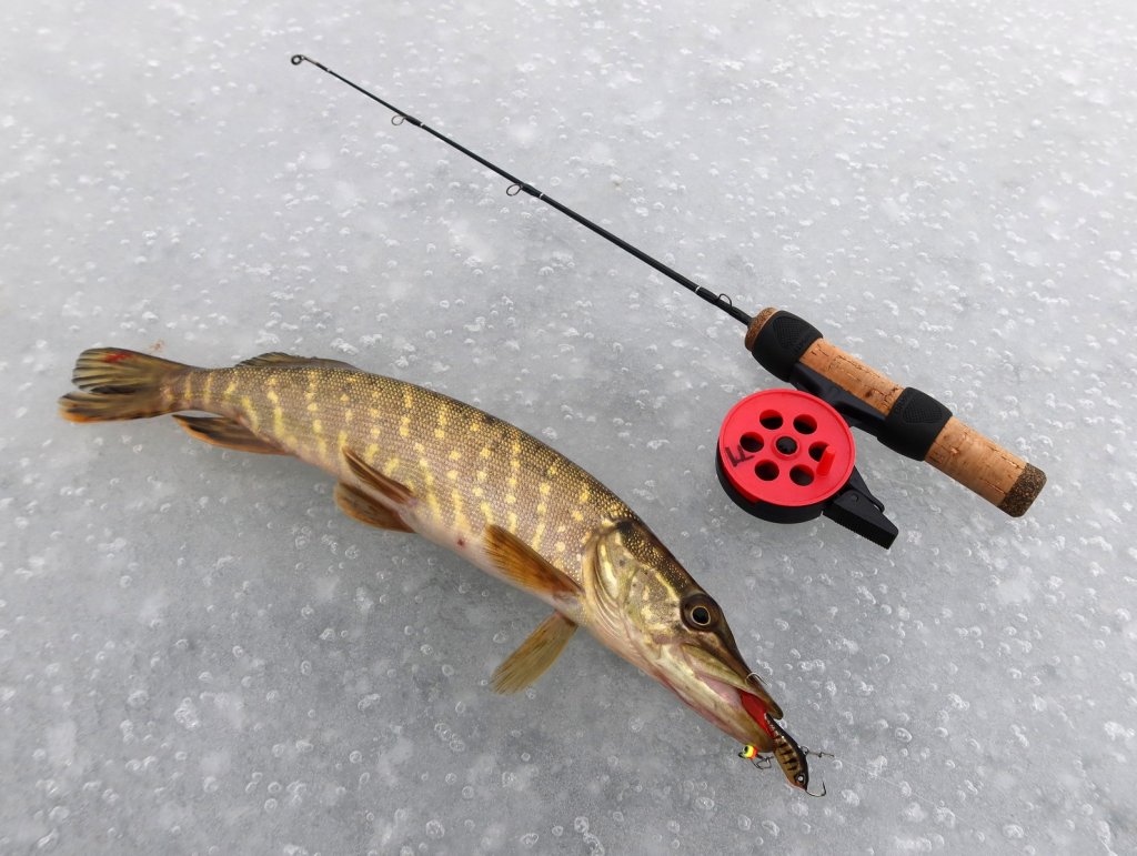 Балансирная снасть и щука на льду