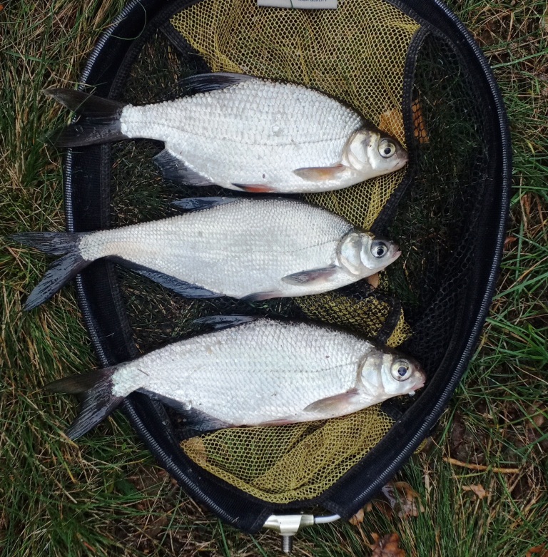 рыбалка на припяти 00008.JPG