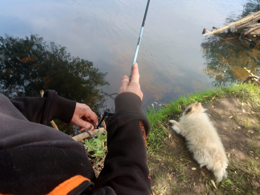 Спиннинговая ловля во время проводки