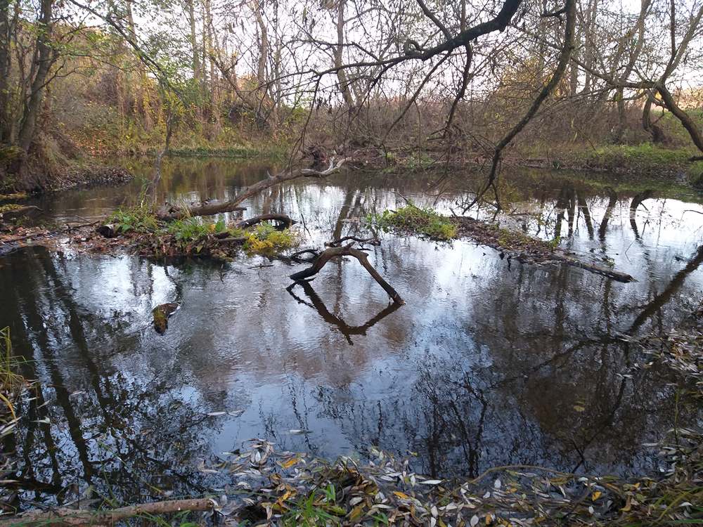 Специфика ловли щуки на малых реках
