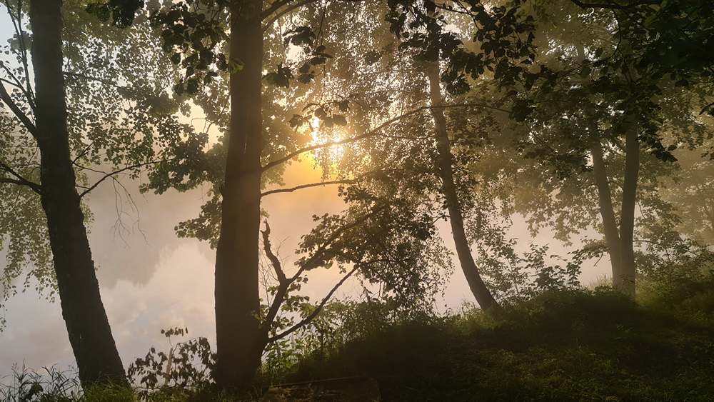 Специфика речной рыбалки накануне осени 0001.JPG