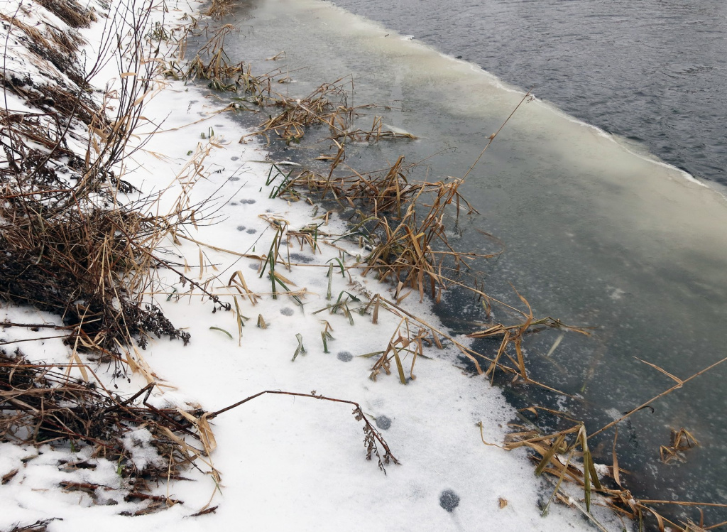 Ледовая закраина на реке