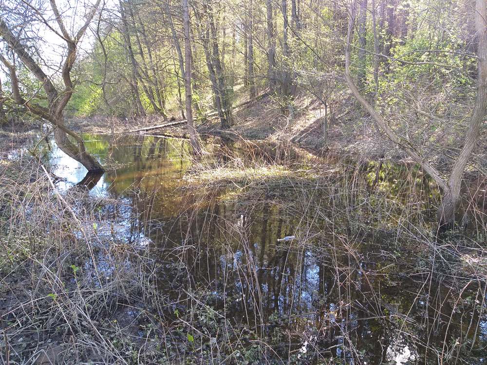 ловля щуки в мае 00004.JPG