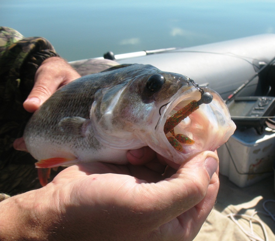 как подобрать размер спиннинговой приманки 0004.JPG