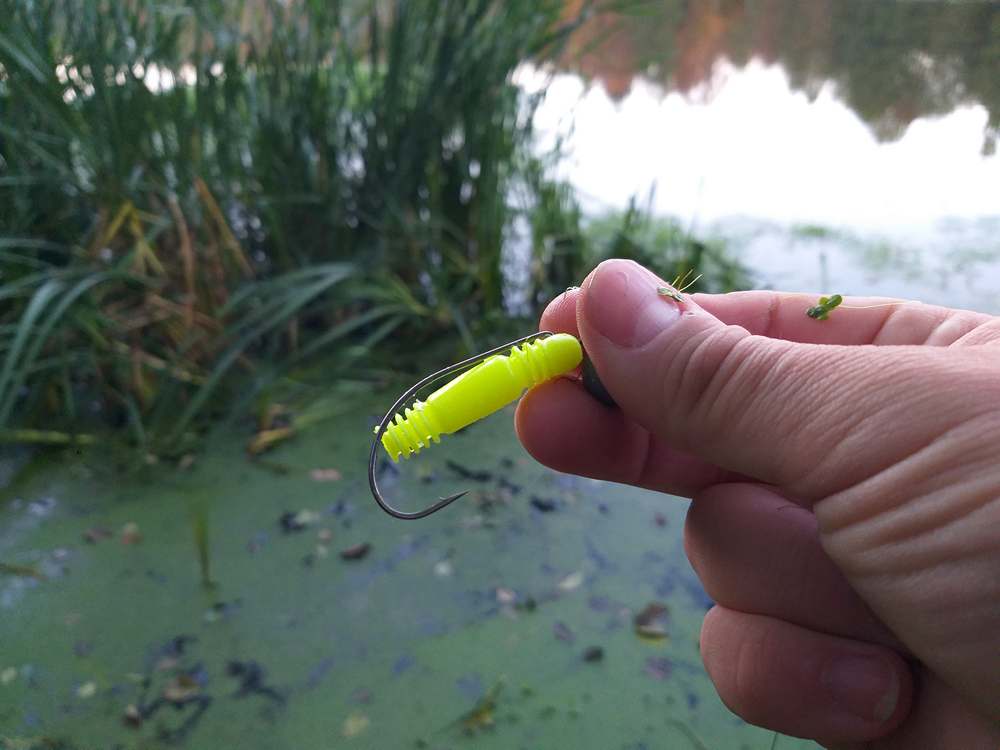 Lucky John Tioga с откусанным хвостиком