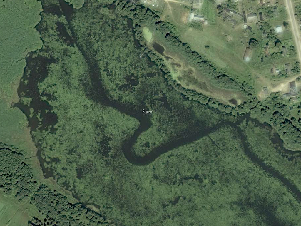 Вид водоёма летом со спутникового снимка Вид водоёма летом со спутникового снимка