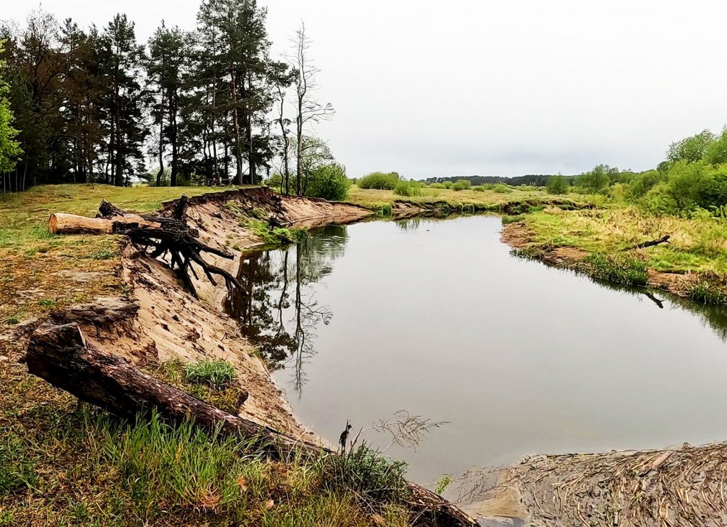 Участок реки с высоким берегом