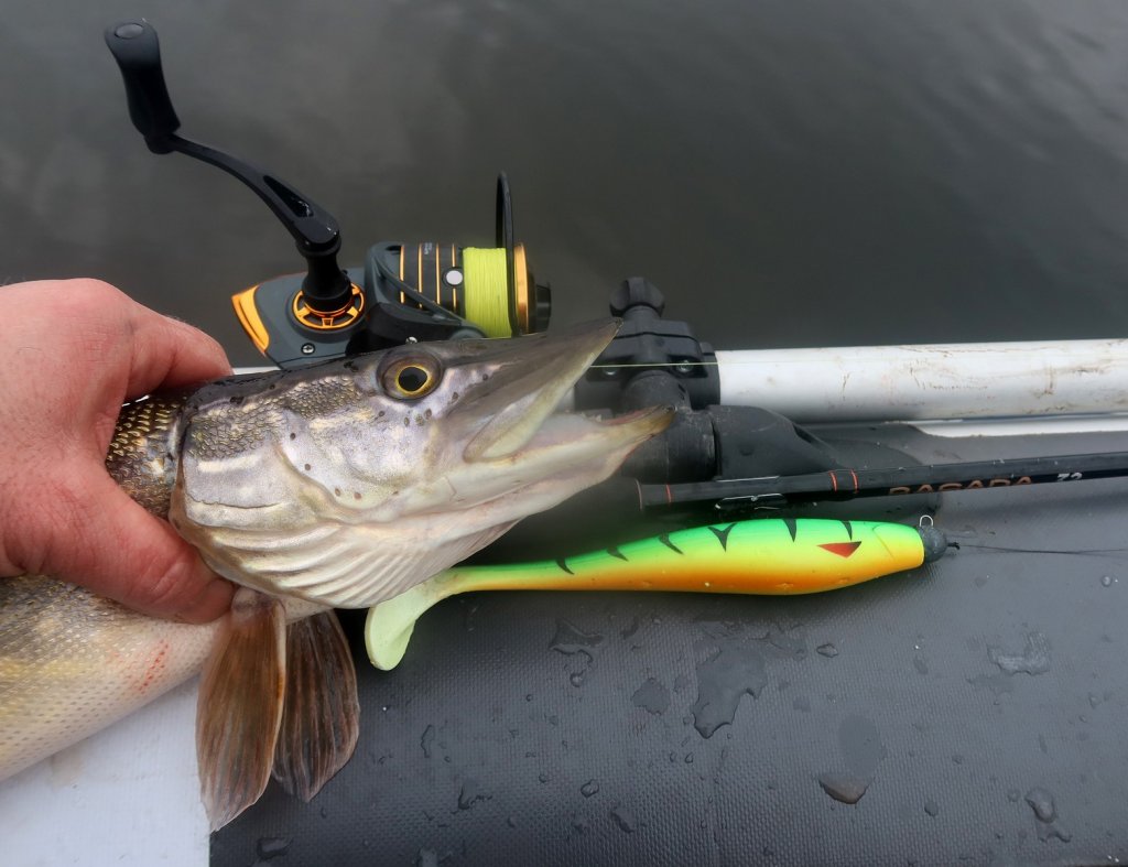 Щука с крупным силиконом
