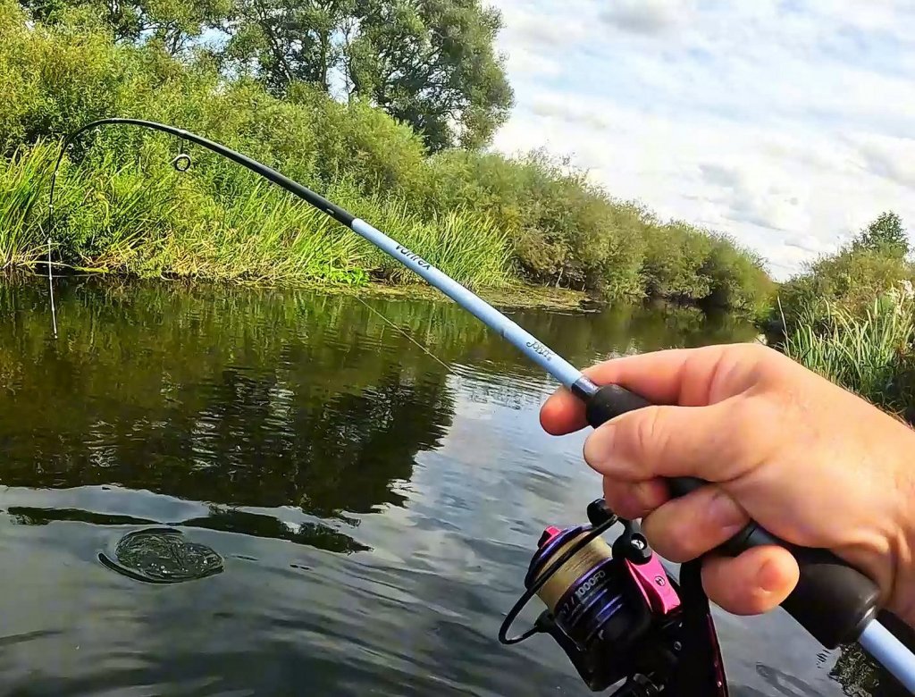 Момент вываживания рыбы на спиннинг