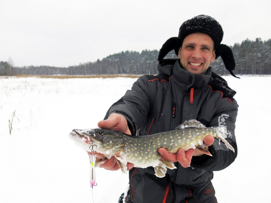 Рыболов показывает, на что поймал щуку со льда