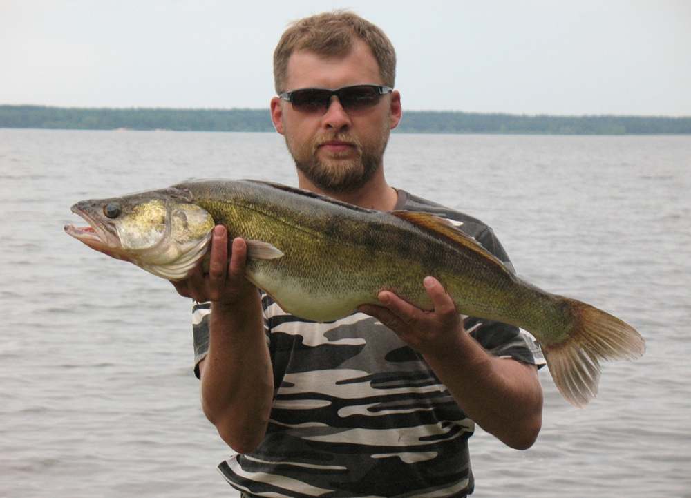 выбор приманок для ловли судака 00003.JPG