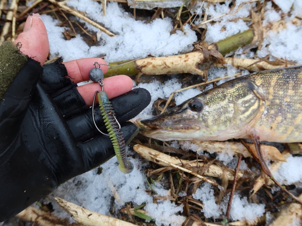 Щука и виброхвост Spark Tail на офсетном крючке