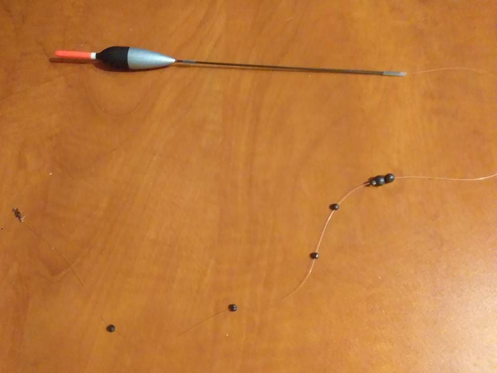 основы болонской ловли 00010.JPG