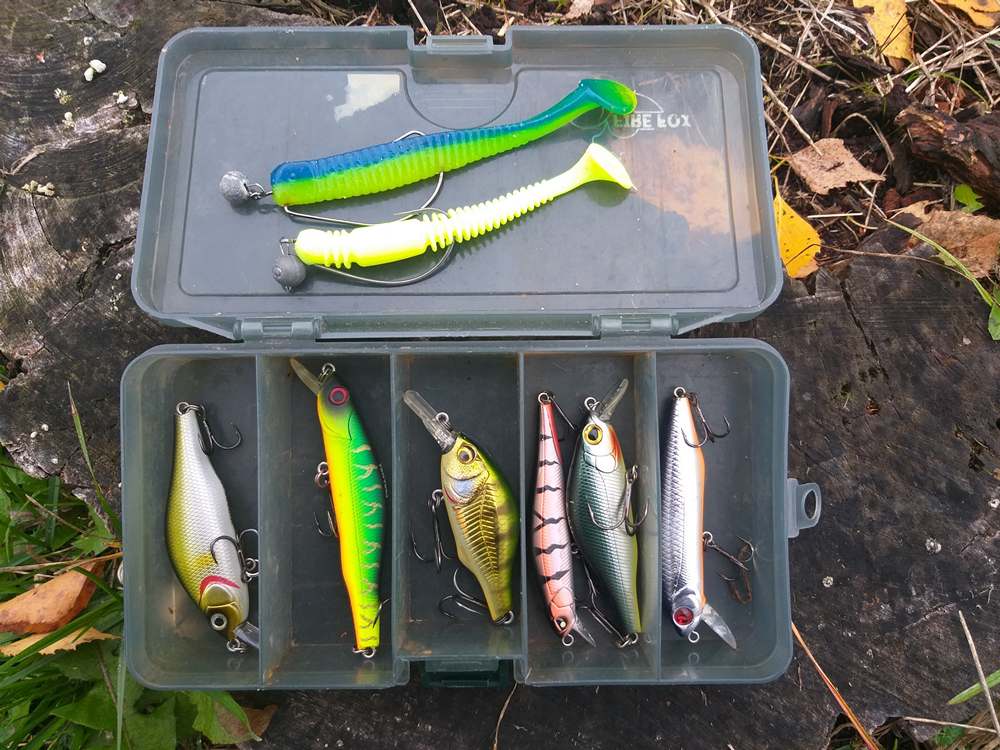 Специфика ловли щуки на малых реках