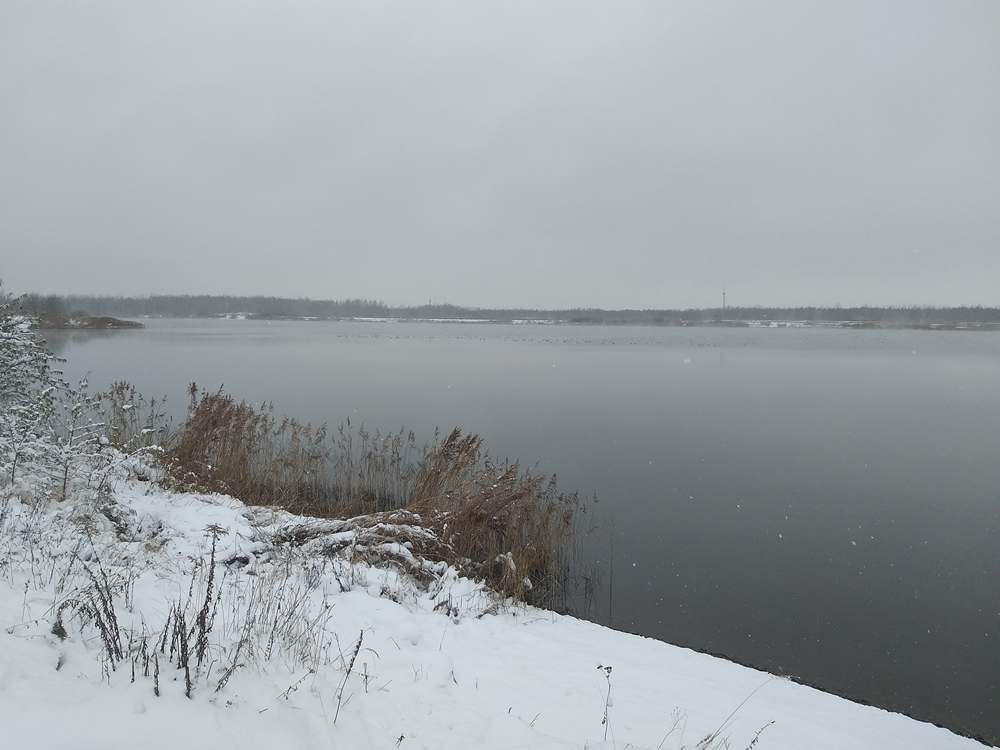 feeder-fishing-in-winter-on-a-cooling-pond_006.jpg feeder-fishing-in-winter-on-a-cooling-pond_006.jpg