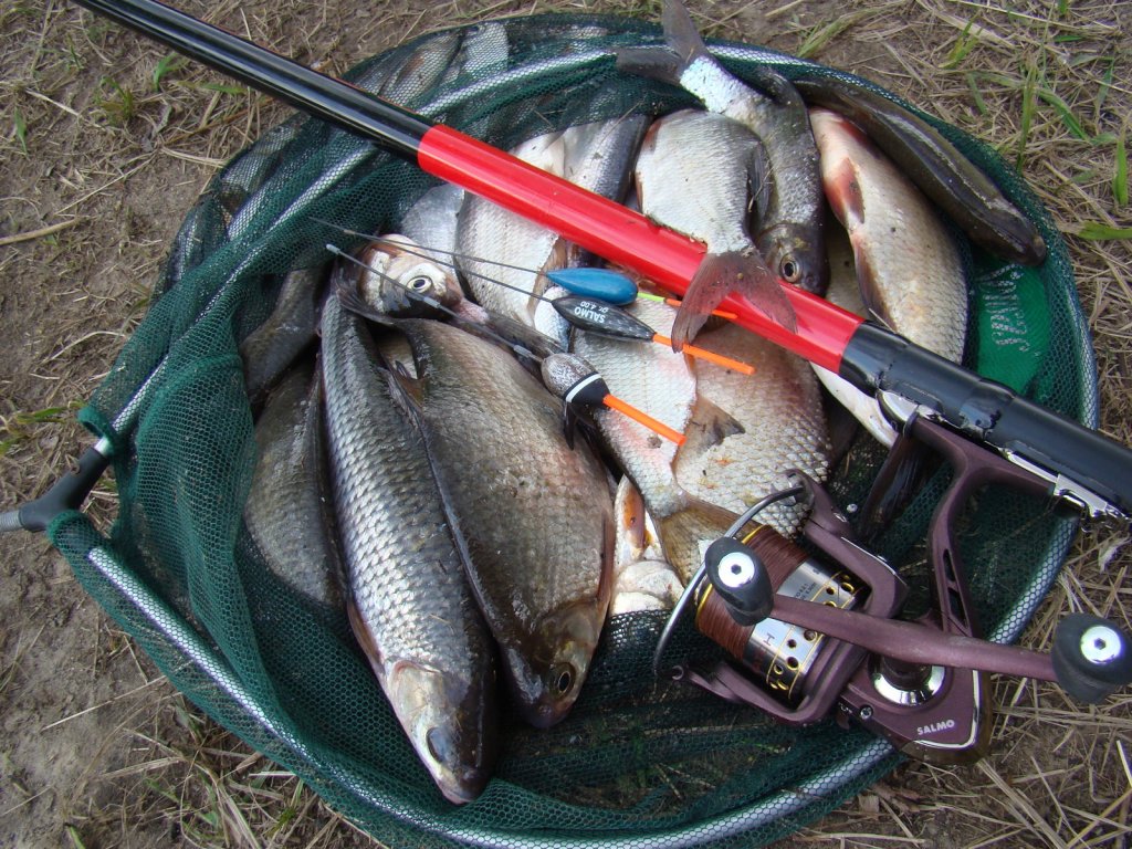 Улов, поплавки и удочка в подсачеке