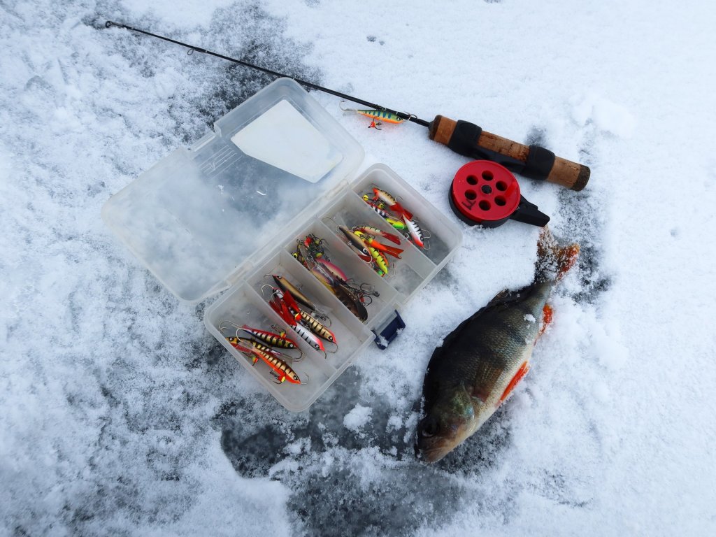 Окунь, балансиры и удочка на льду