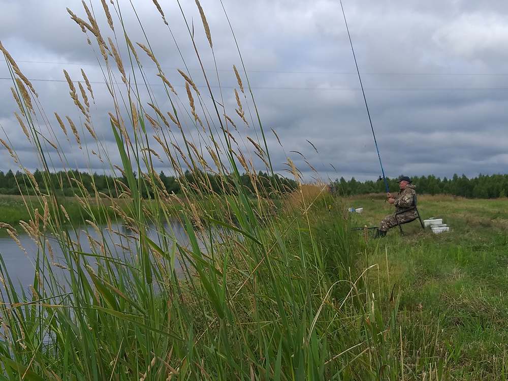 карась на каналах 0004.JPG