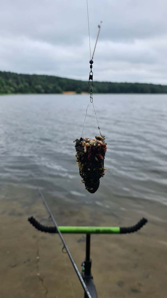 как обездвижить опарыш 0010.JPG