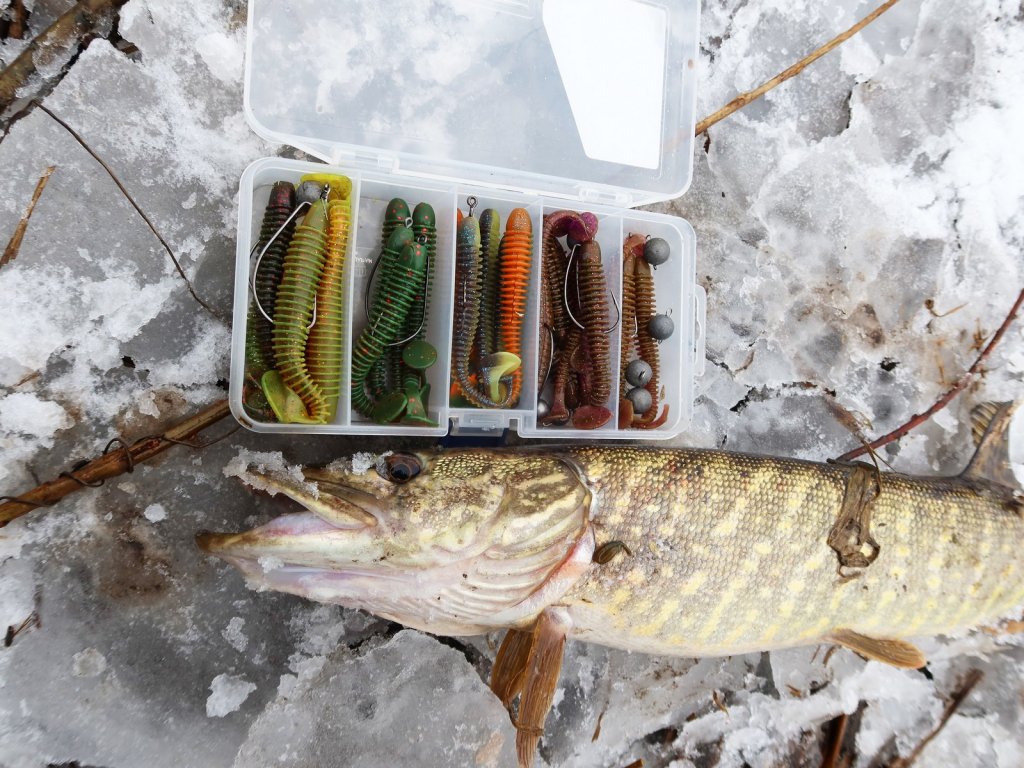 Щука и коробка с мягкими приманками на снегу