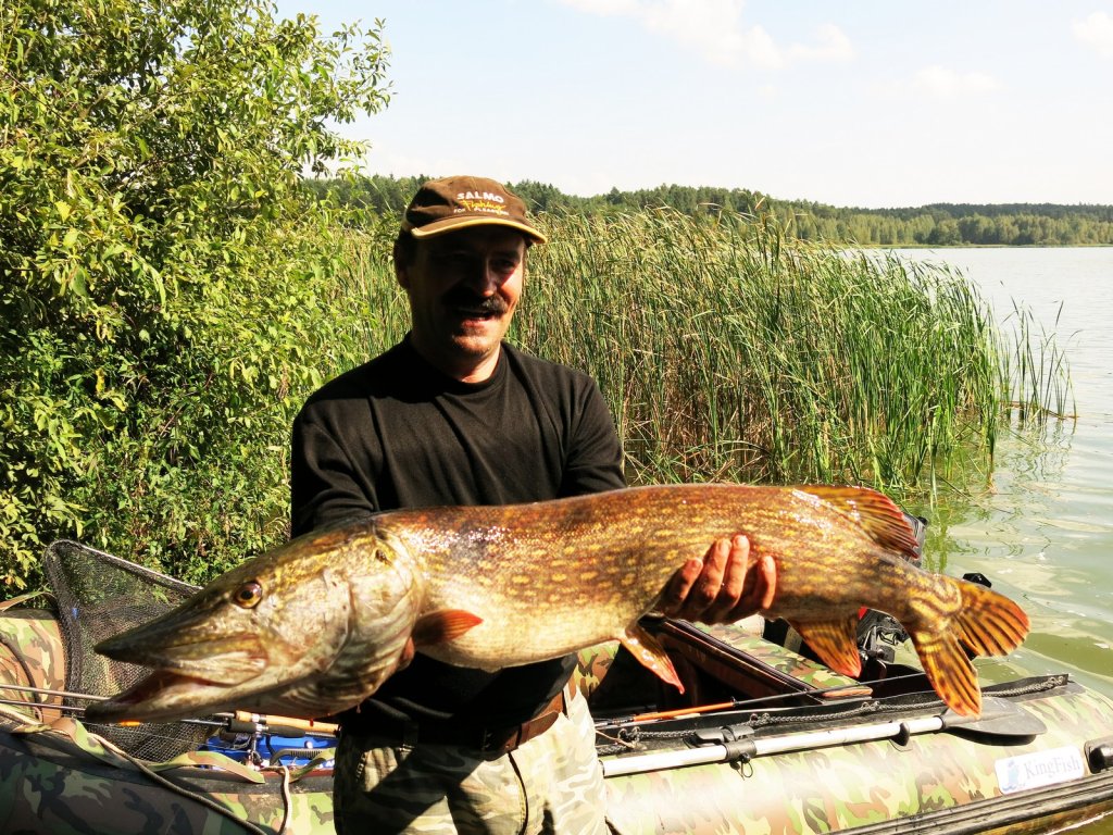 Рыболов держит крупную щуку Рыболов держит крупную щуку