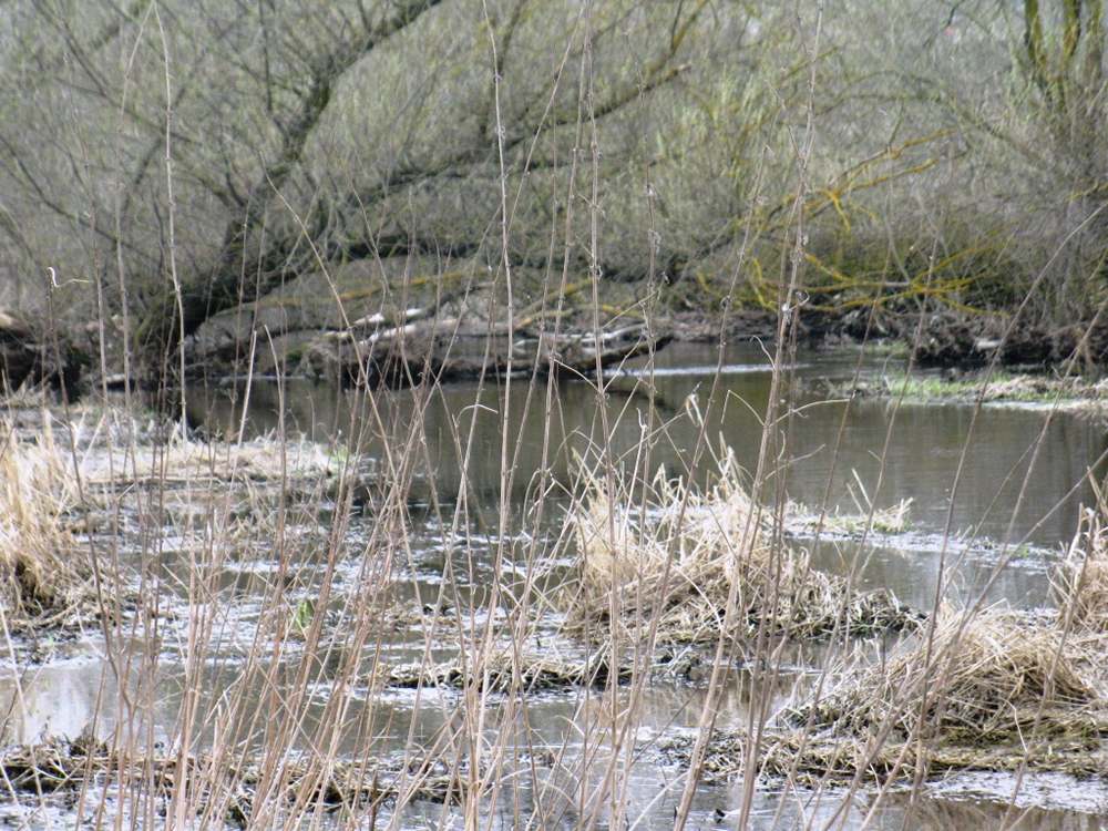 рыбалка на припяти 00007.JPG