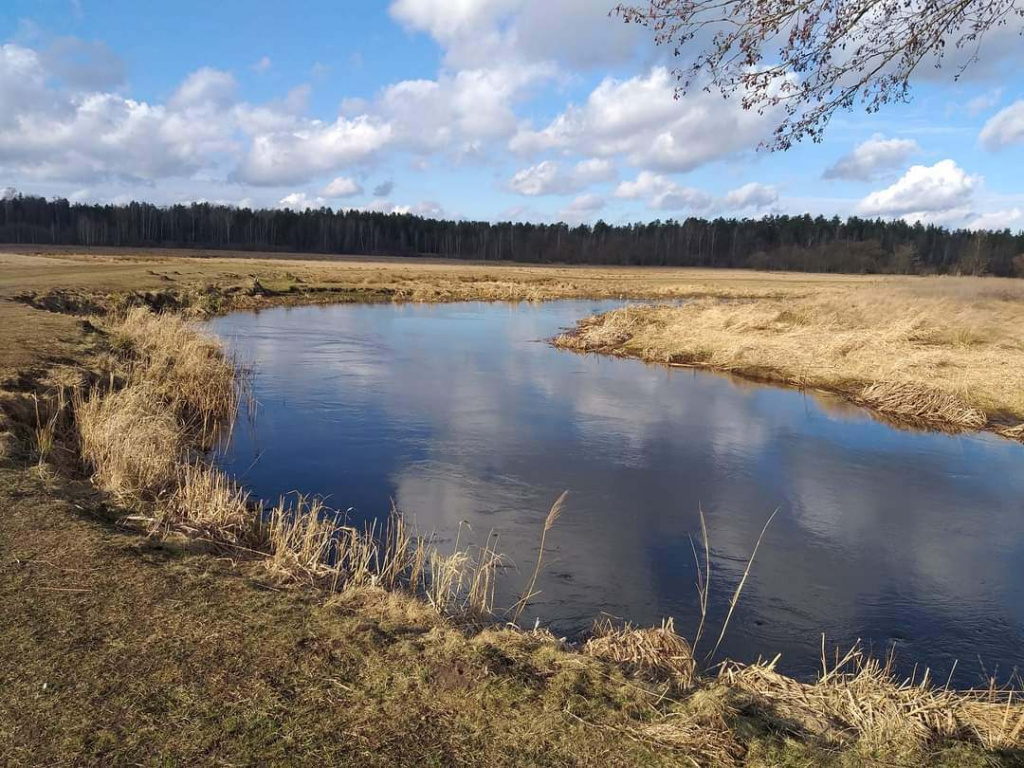 ловля в длинную проводку в английском стиле00007.JPG
