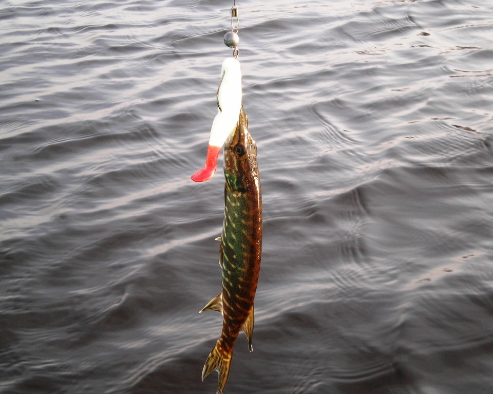 Рыбалка выходного дня_4.JPG