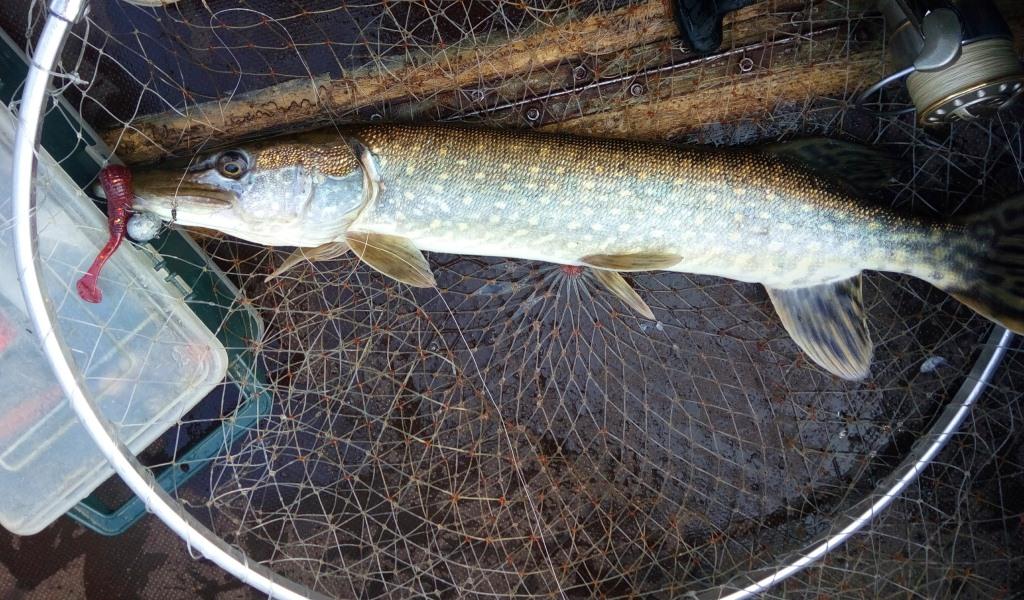 Техника проводки джиг-приманок