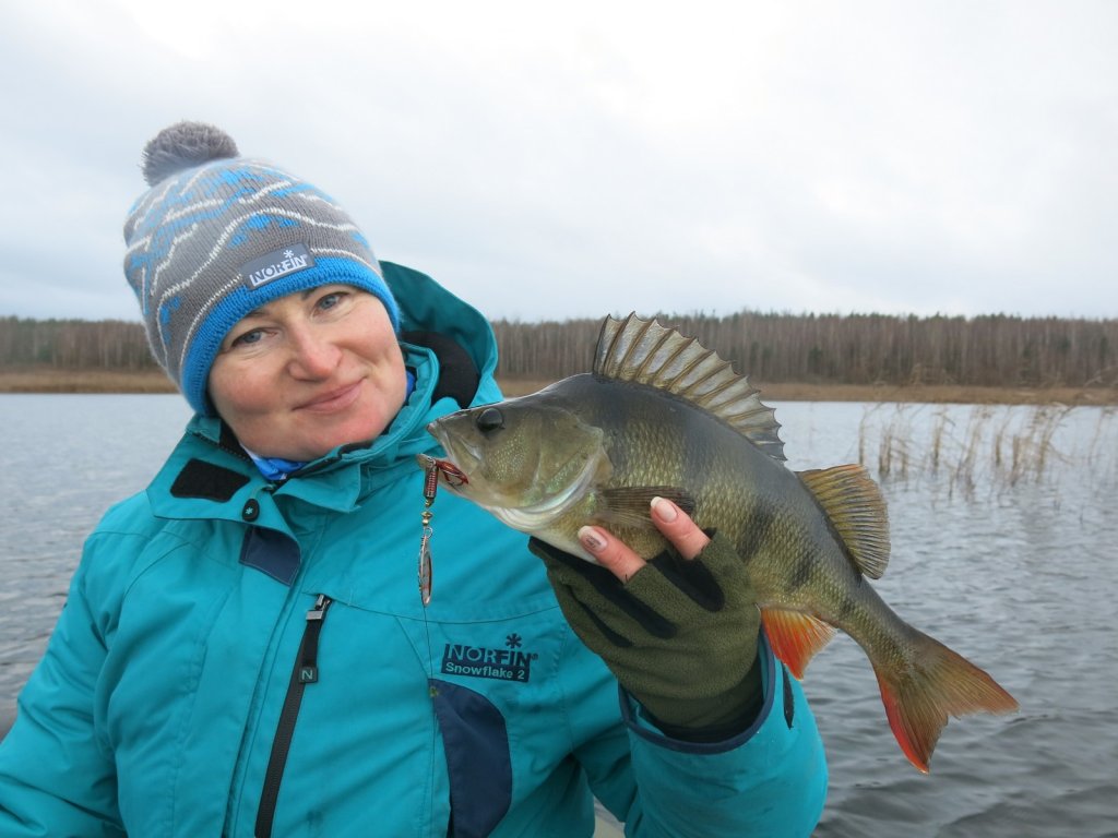 Рыбачка поймала крупного окуня