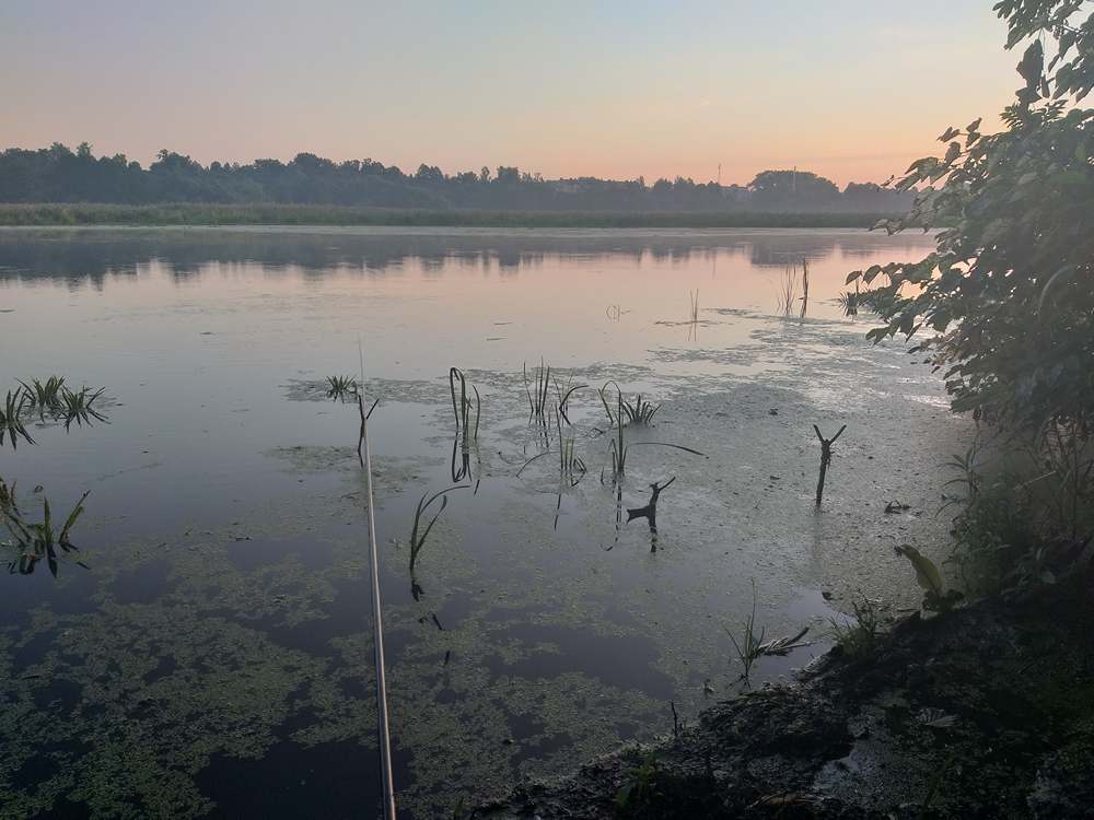 душевная рыбака с маховой удочкой 0011.JPG