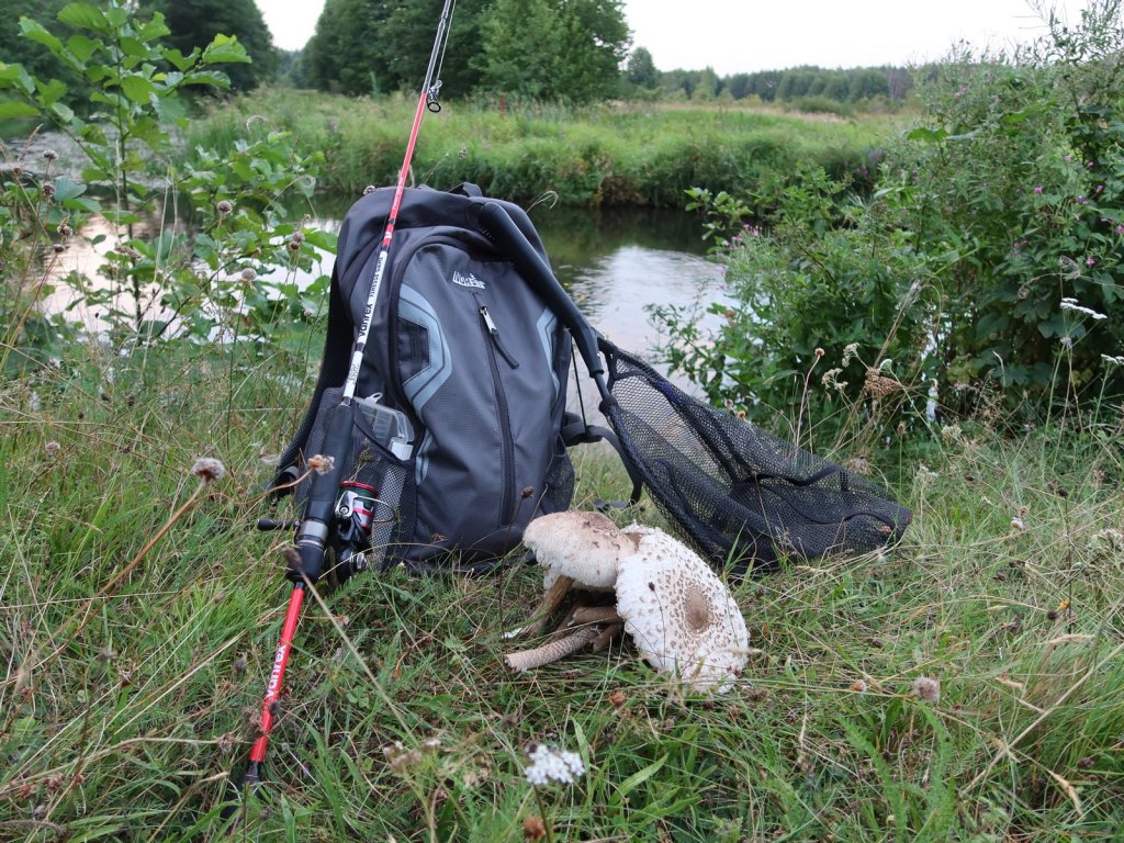 Предосенний рыболовный натюрморт