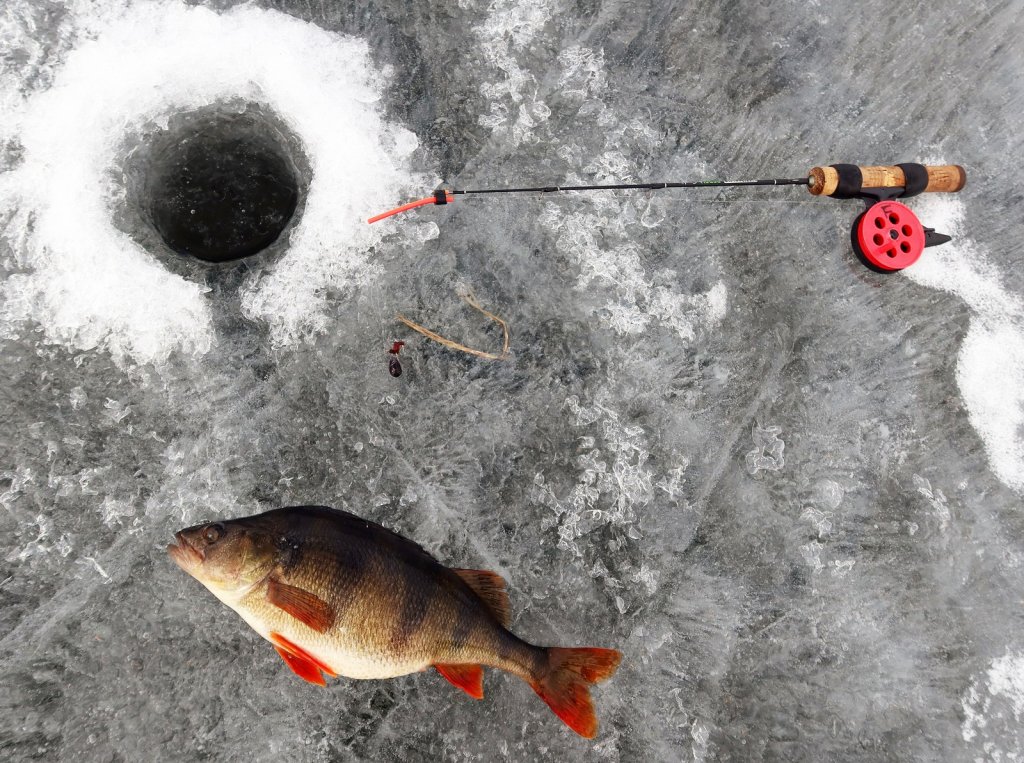 Удочка, балда и крупный окунь