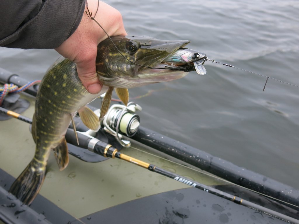Щука клюнула на воблер