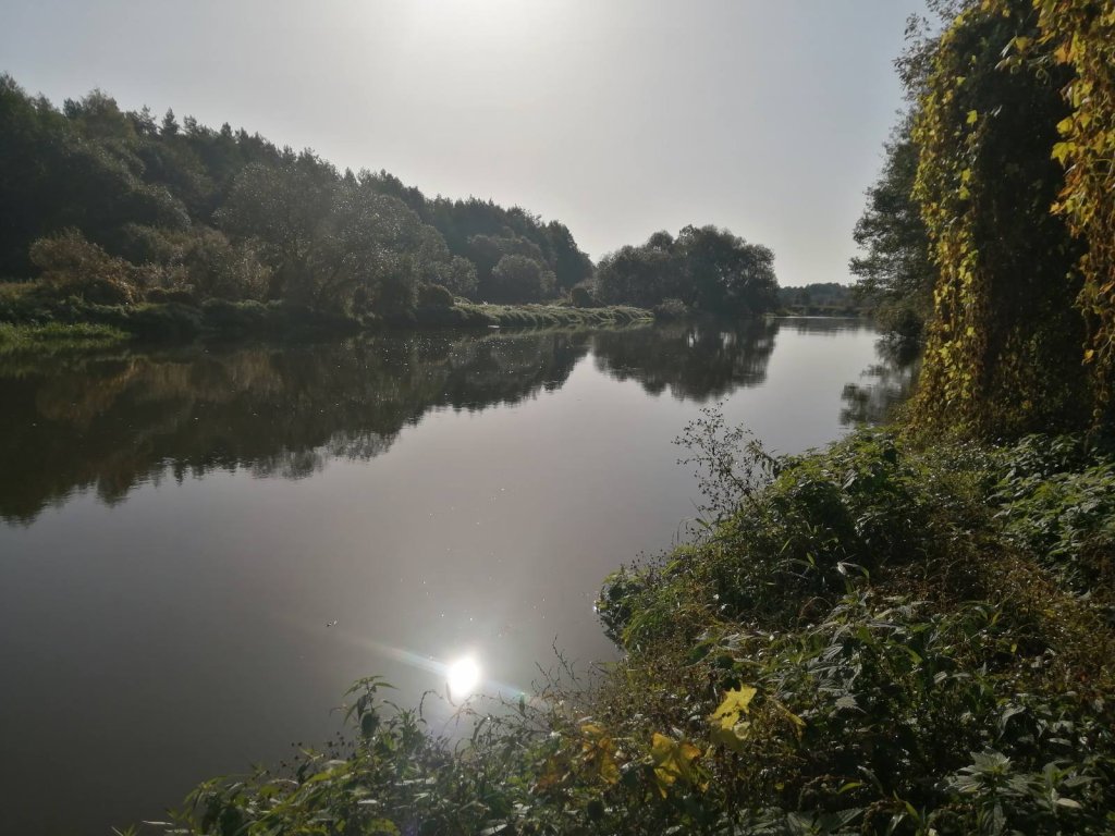 Река в начале осени Река в начале осени