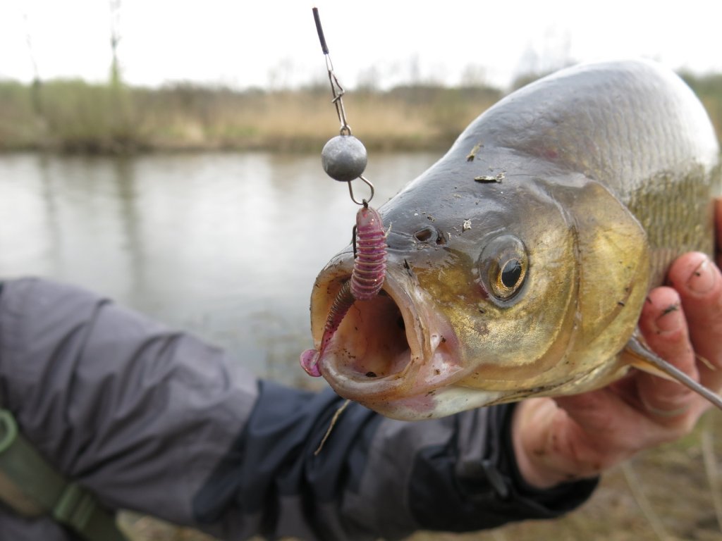 Язь пойман на Lucky John Spark Tail 2