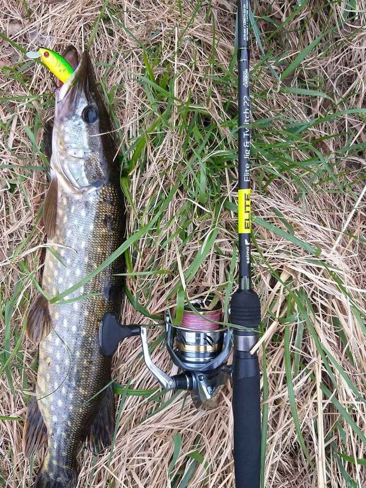 Специфика ловли щуки на малых реках