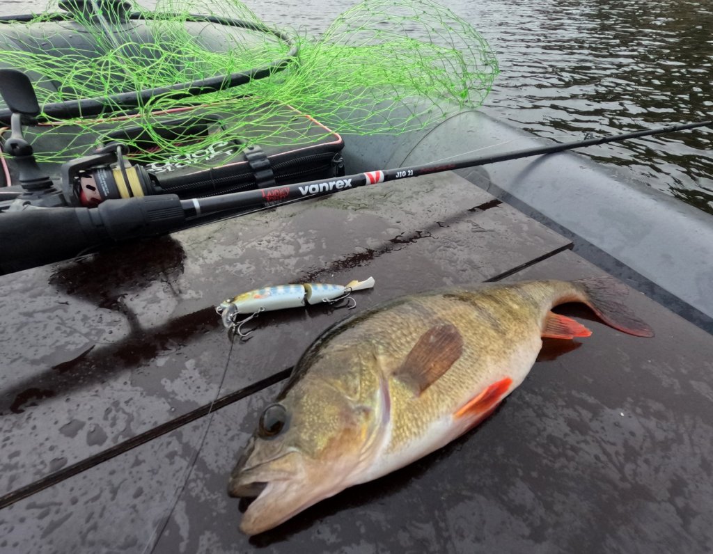 Окунь пойман на составной воблер