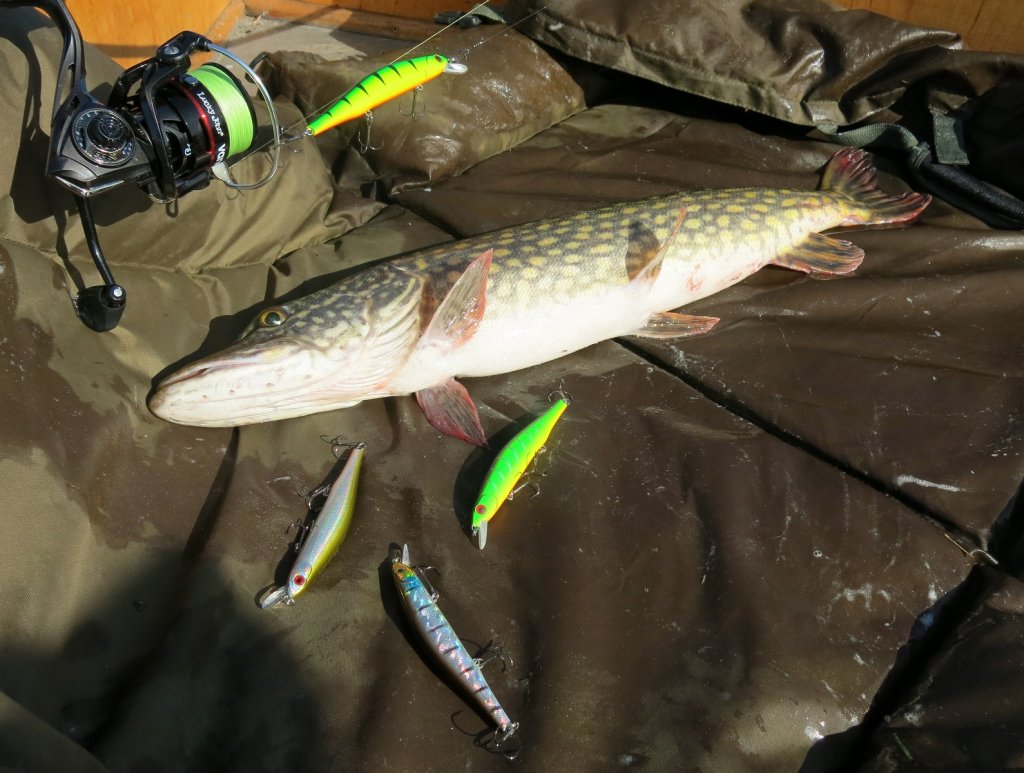 Воблеры разного цвета со щукой
