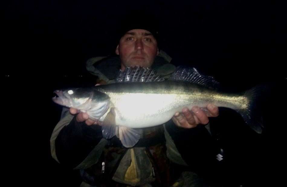 Нюансы ловли судака с лодки после заката 