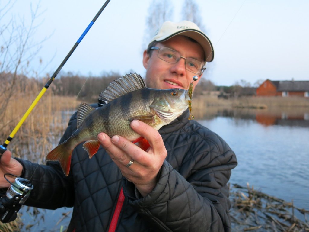 Валерий Сикиржицкий с пойманным весной окунем на фоне водоёма