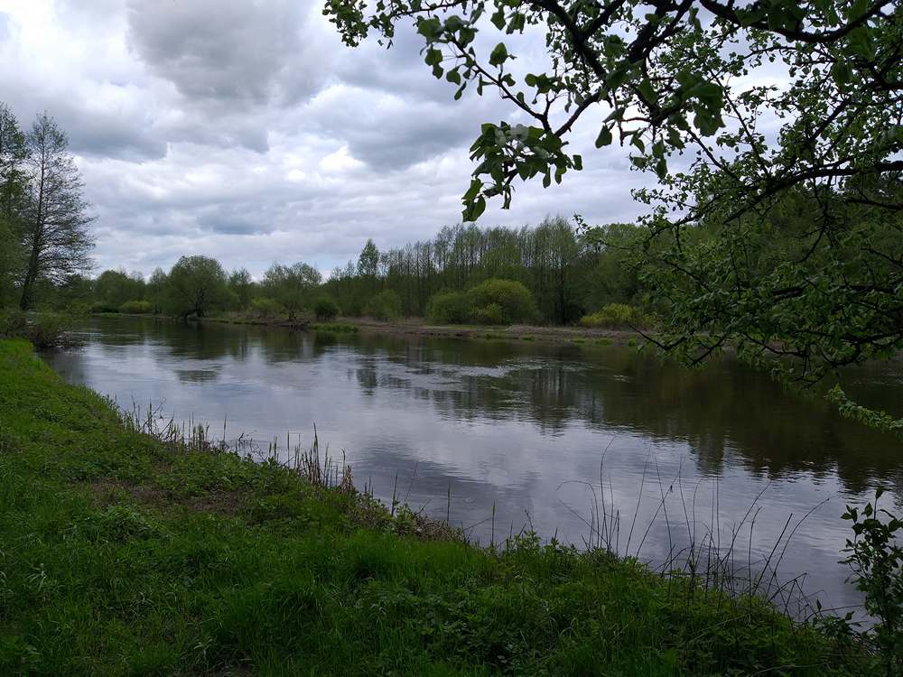 основы болонской ловли 00006.JPG