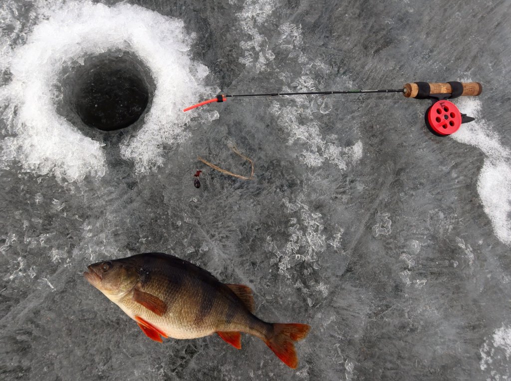 Окунь, балда и удочка