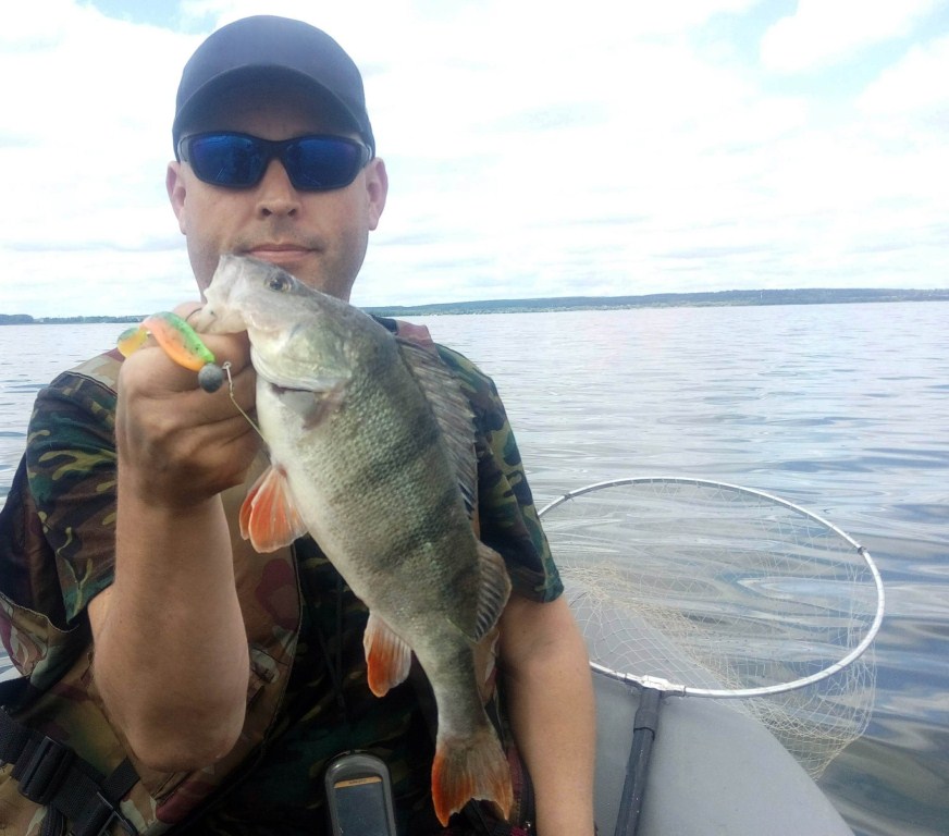 Пойманный окунь в руках рыболова