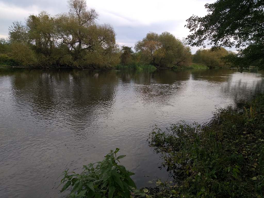 Ловля голавля: водоем осенью
