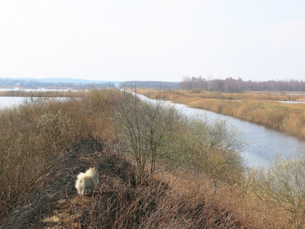 Канал и разливы на торфяниках