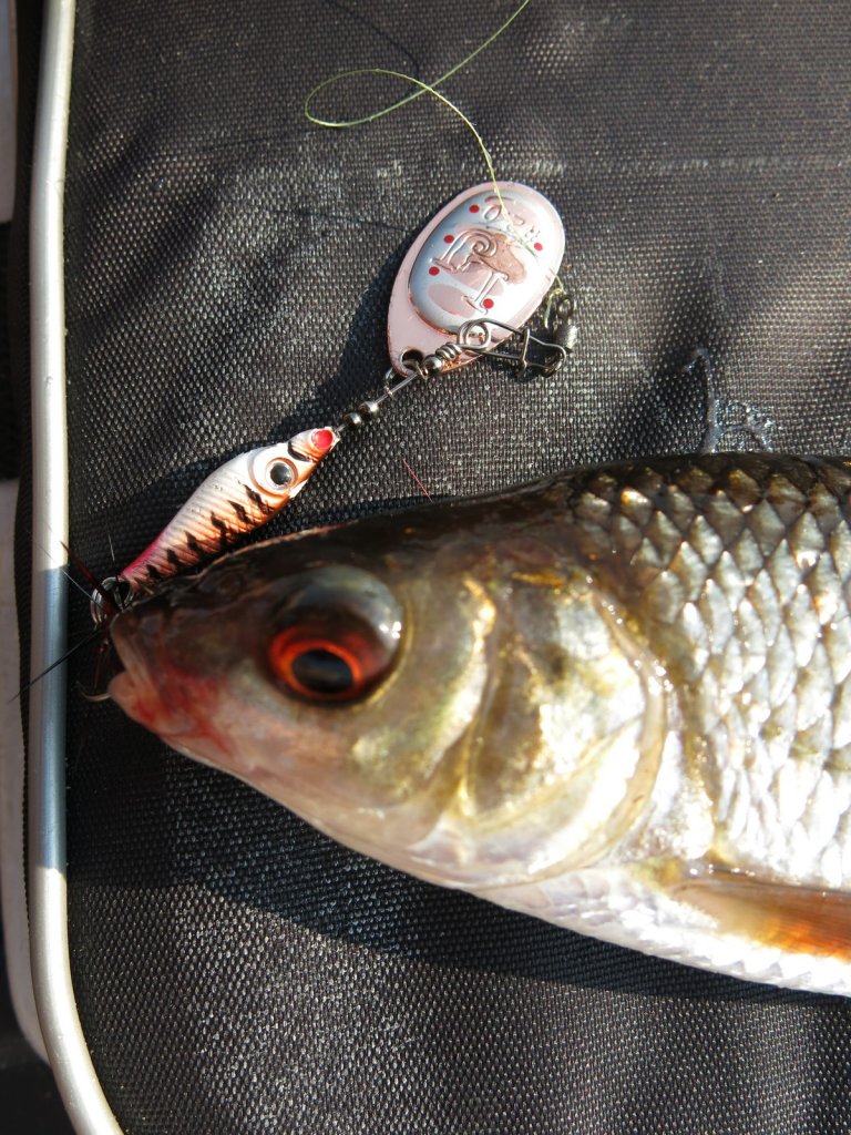 Плотва с вертушкой Lucky John Trian Blade Round Плотва с вертушкой Lucky John Trian Blade Round