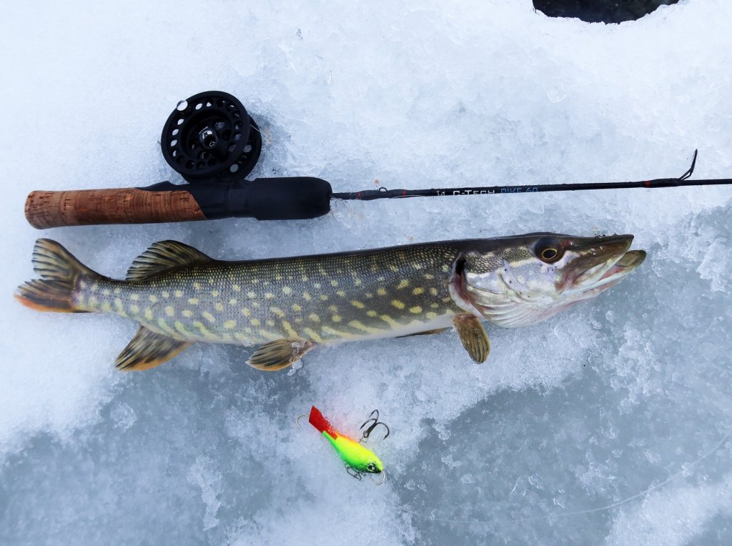 Щука с удочкой и ярким балансиром