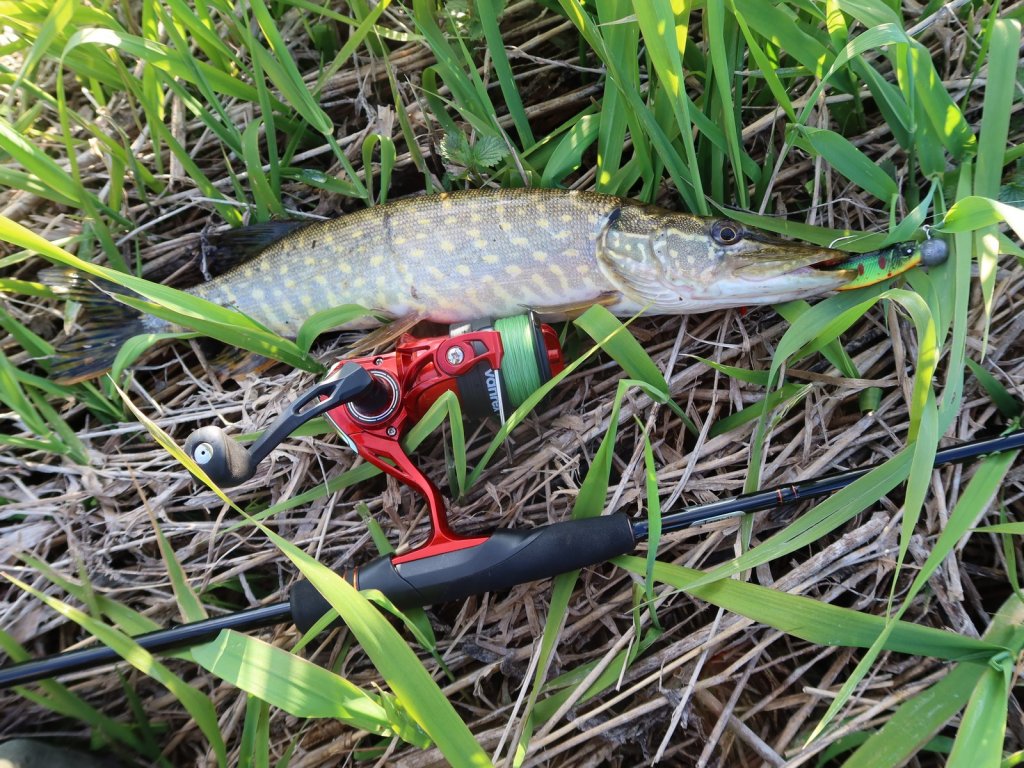 Щука, снасть и кислотный виброхвост