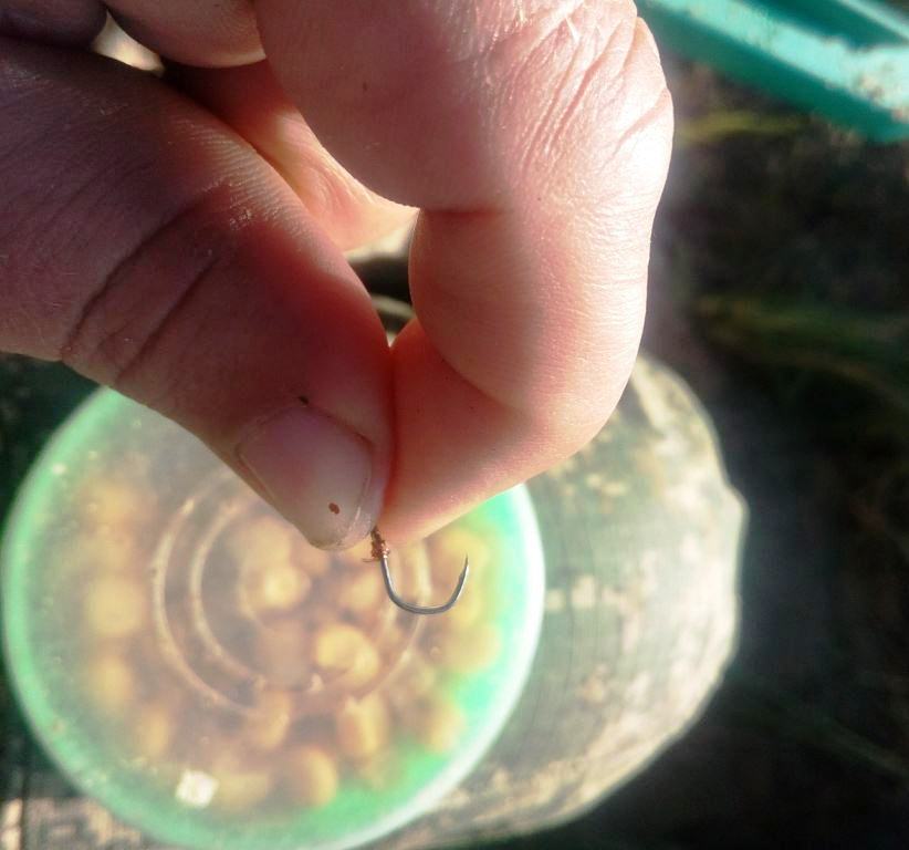 рыбалка с фидером на Припяти 004.jpg